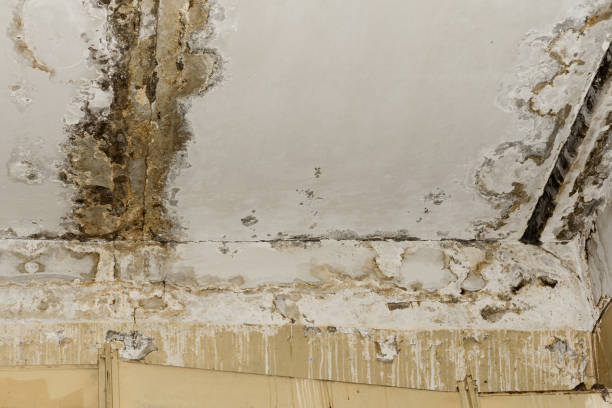 Mold Removal for HVAC Installations in Madison, OH