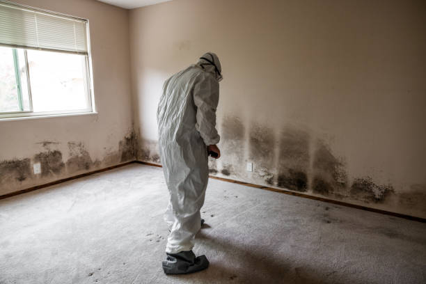 Best Biohazard Mold Removal  in Madison, OH